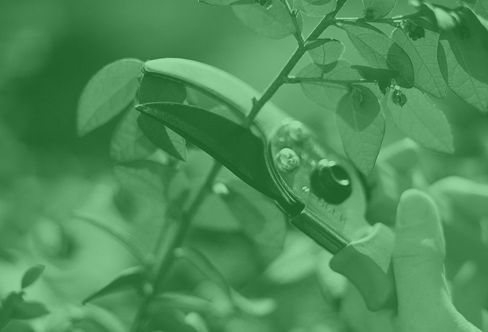Social Media Strategy: Pruning Your Followers.
