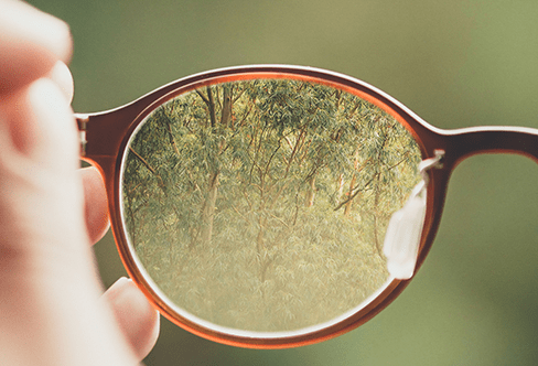 Spark Interview: See the Marketing Forest, Not the Trees.