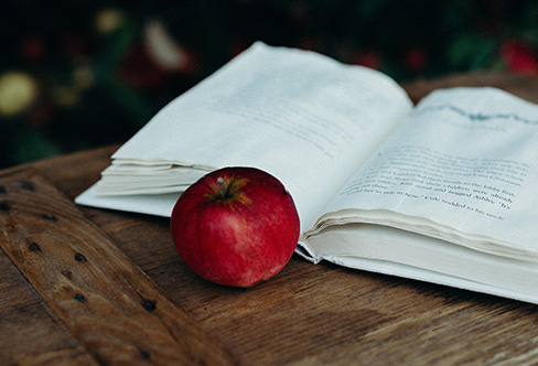 Spark Interview: A Social Media Fairy Tale.